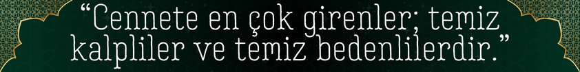 Zevk Suyu Gusül Gerektirir mi