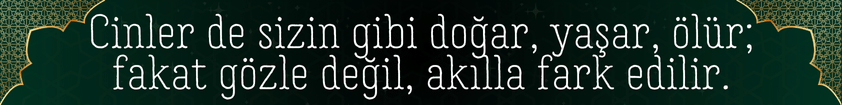 Beyne Yerleşen Cin Belirtileri cinle ilgili söz
