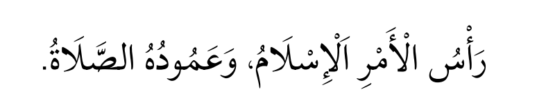(Tirmizî, Îmân, 8; İbn Hanbel, V, 231)